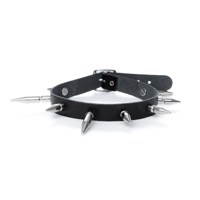 Langnieten-Halsband (26mm & 44mm)